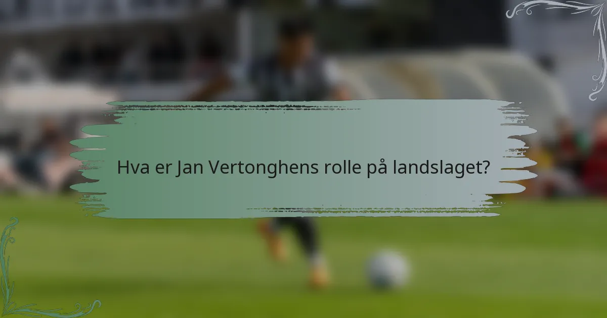 Hva er Jan Vertonghens rolle på landslaget?