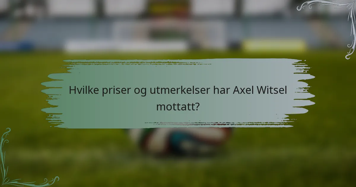 Hvilke priser og utmerkelser har Axel Witsel mottatt?